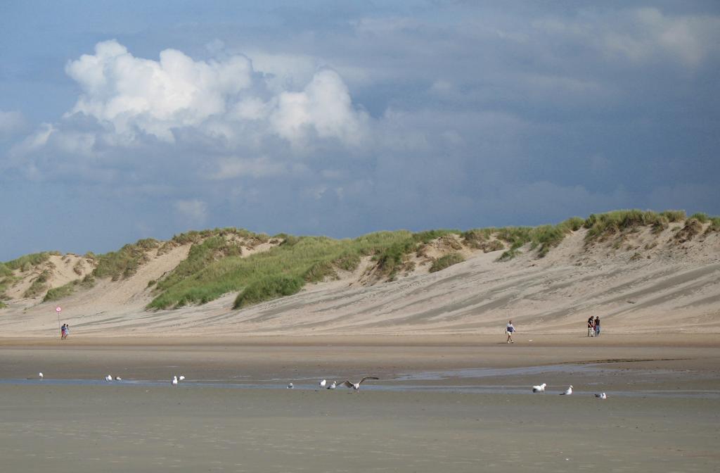 Residence Sparrow Koksijde Zewnętrze zdjęcie